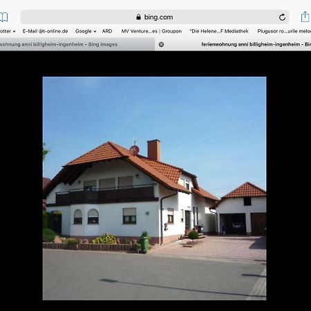 „Ferienwohnung Anni“ Billigheim-Ingenheim 外观 照片