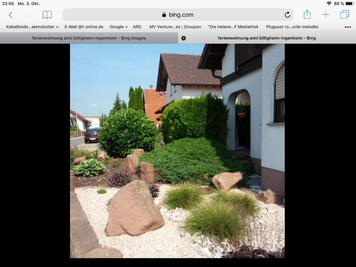 „Ferienwohnung Anni“ Billigheim-Ingenheim 外观 照片