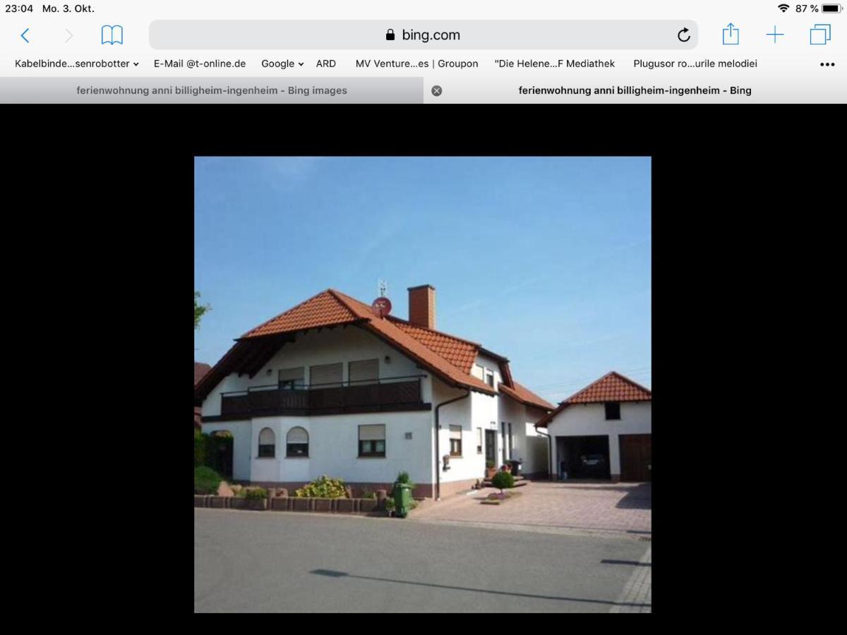 „Ferienwohnung Anni“ Billigheim-Ingenheim 外观 照片